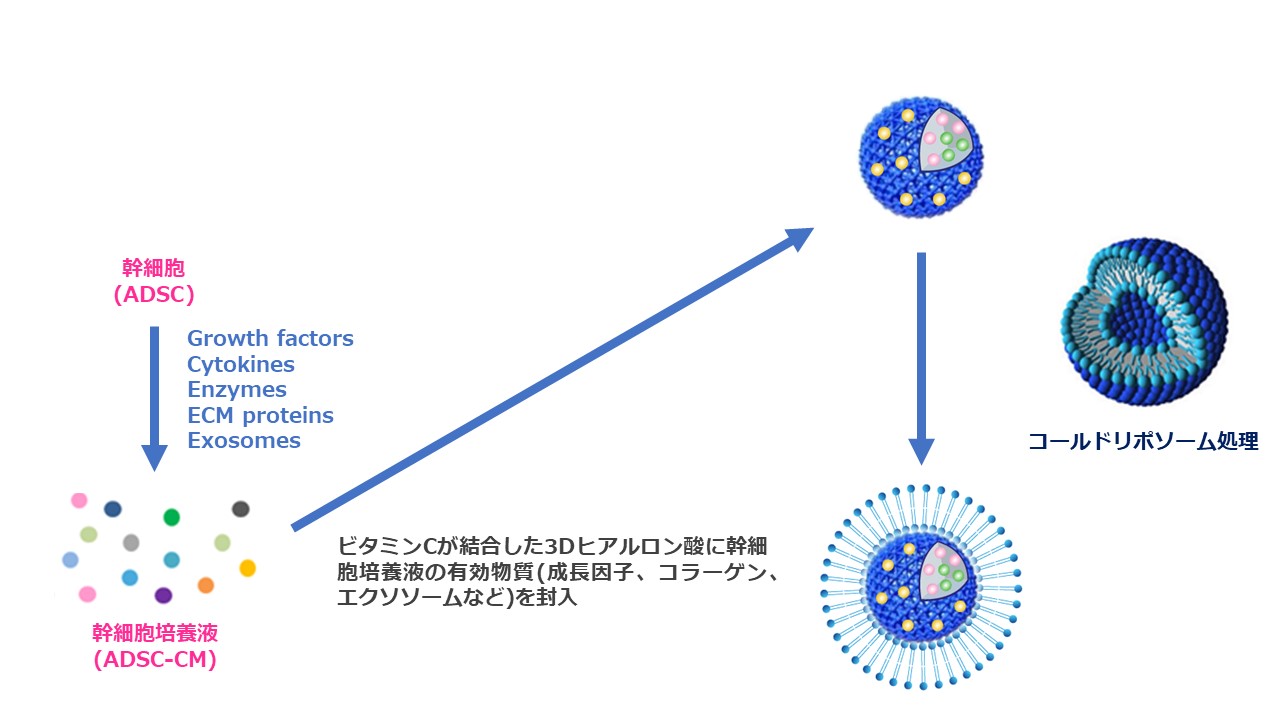 SC-MAX5.2PLUS+